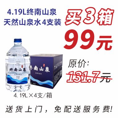 终南山泉4.19L*4支箱装水3箱